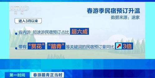 春暖花開時，三大潮流打卡新選擇 花海、民宿與山地戶外運動